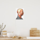 Anatomie van menselijke gezichtsspieren, zijdeling poster (Keuken)