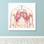 Anatomie van menselijke longen in situ canvas afdruk (Insitu (Houten vloer))