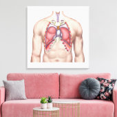 Anatomie van menselijke longen in situ canvas afdruk (Insitu (Woonkamer))