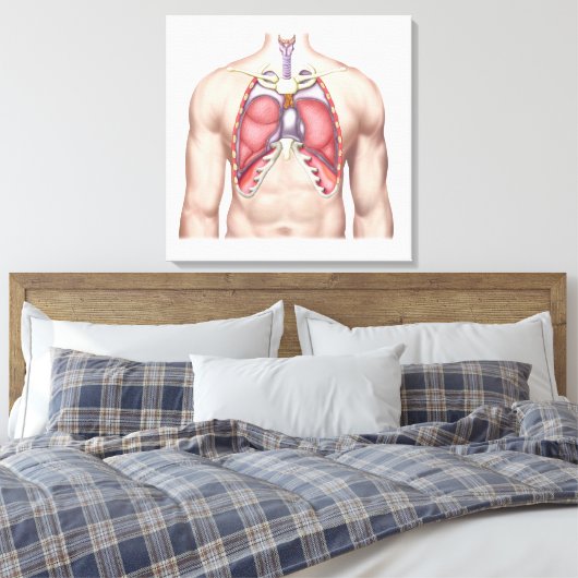 Anatomie van menselijke longen in situ canvas afdruk (Insitu (Slaapkamer))