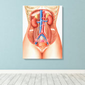Anatomie van menselijke organen canvas afdruk (Insitu (Houten vloer))