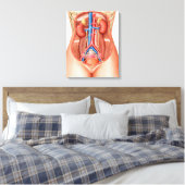 Anatomie van menselijke organen canvas afdruk (Insitu (Slaapkamer))