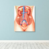 Anatomie van menselijke organen canvas afdruk (Insitu (Houten vloer))