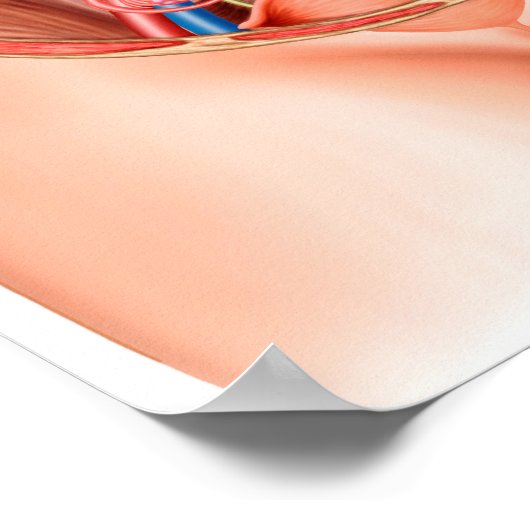 Anatomie van menselijke organen poster (Hoek)