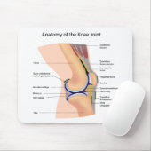 Anatomie van mousepad van het menselijke kniegewri muismat (Met muis)