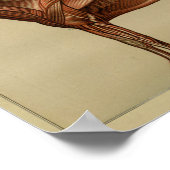 Anatomie van paardenspieren afdrukken poster (Hoek)