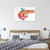 Anatomie van pancreas canvas afdruk (Insitu (Slaapkamer))