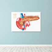 Anatomie van pancreas canvas afdruk (Insitu (Houten vloer))
