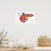 Anatomie van pancreas poster (Keuken)