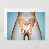 Anatomie van Pelvic Bone op het Vrouw lichaam Briefkaart (Voorkant / Achterkant)