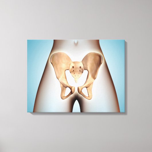 Anatomie van Pelvic Bone op het Vrouw lichaam Canvas Afdruk (Voorkant)