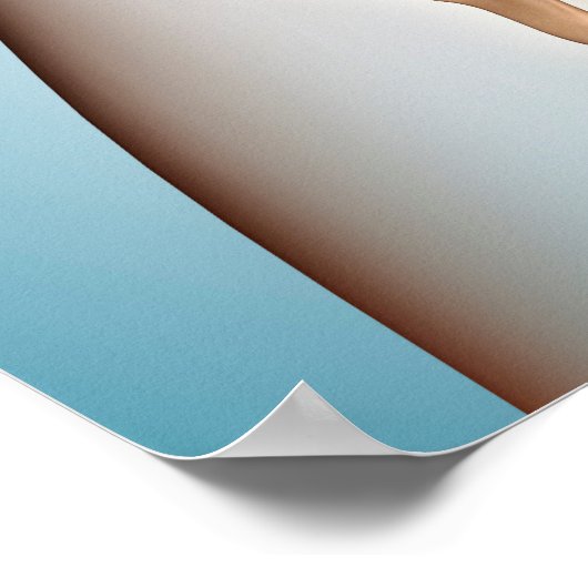 Anatomie van Pelvic Bone op het Vrouw lichaam Poster (Hoek)