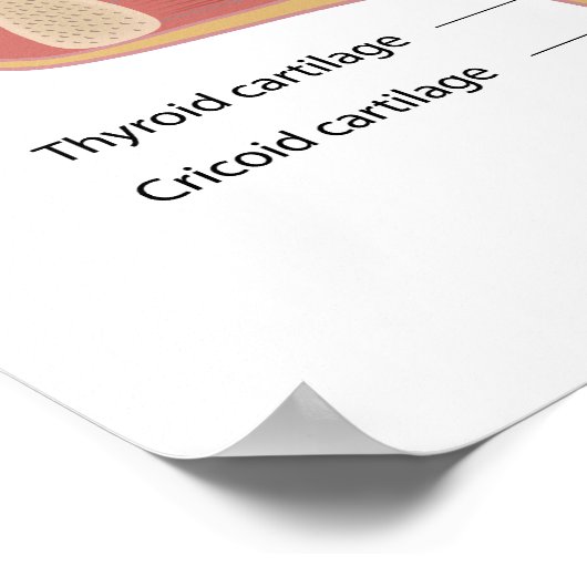 Anatomie van Poster van de stembus (Hoek)