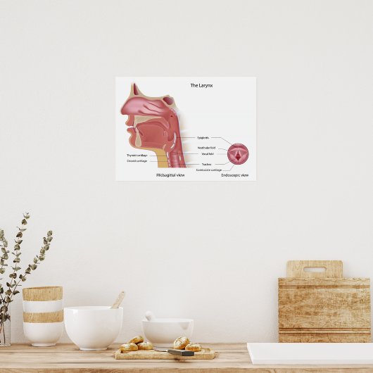 Anatomie van Poster van de stembus (Keuken)
