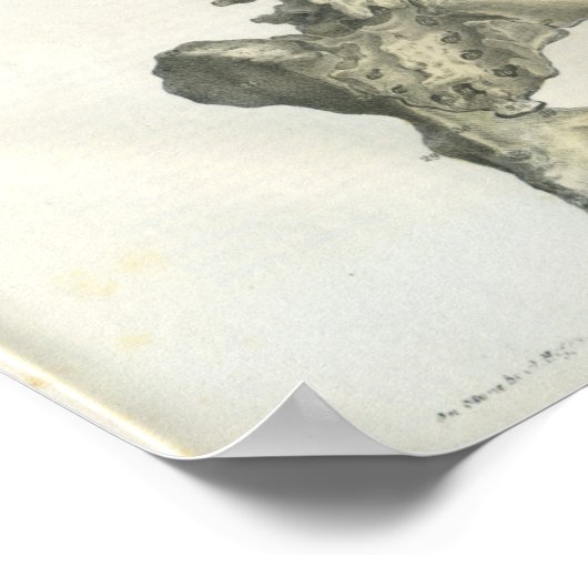  anatomie van posterior-wervelkolom poster (Hoek)