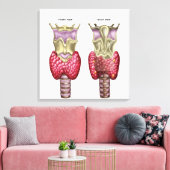 Anatomie van schildklier met Larynx en kraakbeen Canvas Afdruk (Insitu (Woonkamer))