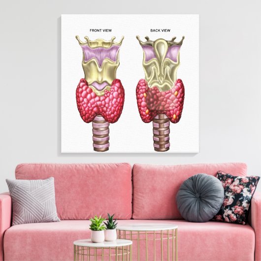 Anatomie van schildklier met Larynx en kraakbeen Canvas Afdruk (Insitu (Woonkamer))