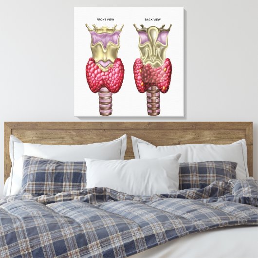 Anatomie van schildklier met Larynx en kraakbeen Canvas Afdruk (Insitu (Slaapkamer))