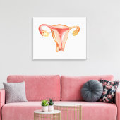 Anatomie van Vrouw Uterus 1 Canvas Afdruk (Insitu (Woonkamer))