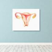 Anatomie van Vrouw Uterus 1 Canvas Afdruk (Insitu (Houten vloer))