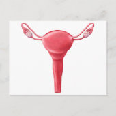 Anatomie van Vrouw Uterus 2 Briefkaart (Voorkant)