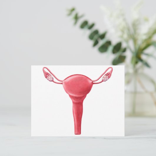 Anatomie van Vrouw Uterus 2 Briefkaart (Staand voorkant)
