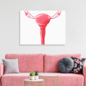 Anatomie van Vrouw Uterus 2 Canvas Afdruk (Insitu (Woonkamer))