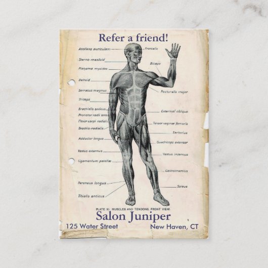 Anatomie Voorkant Antieke Tekening Aanbevelingskaartje (Voorkant)