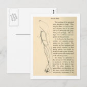  anatomie | Wapenvlees (circa 1852) Briefkaart (Voorkant / Achterkant)