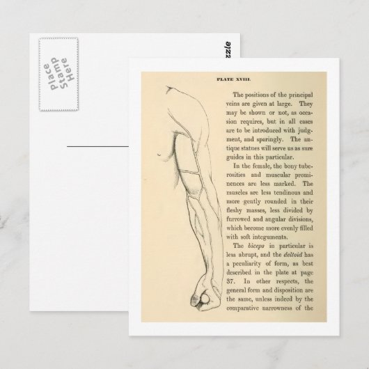 anatomie | Wapenvlees (circa 1852) Briefkaart (Voorkant / Achterkant)