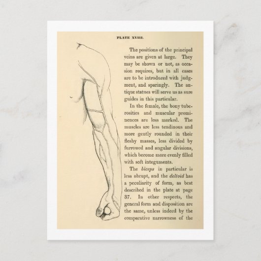  anatomie | Wapenvlees (circa 1852) Briefkaart (Voorkant)