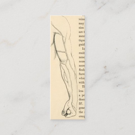  anatomie | Wapenvlees (circa 1852) Mini Visitekaartje (Voorkant)