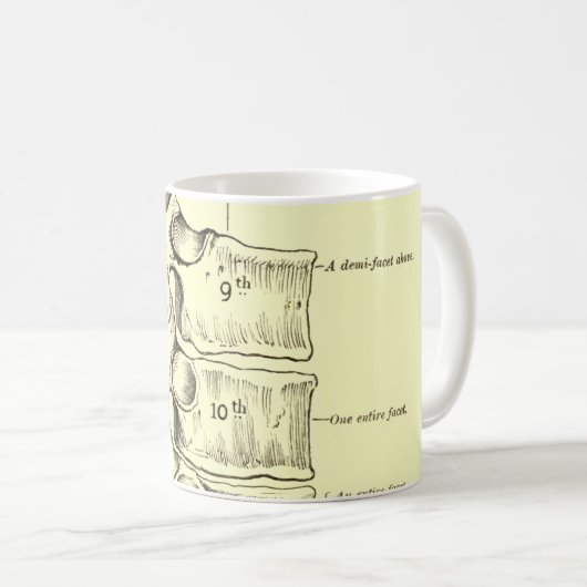  anatomie | wervels koffiemok (Voorkant rechts)