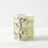  anatomie | wervels koffiemok (Center)