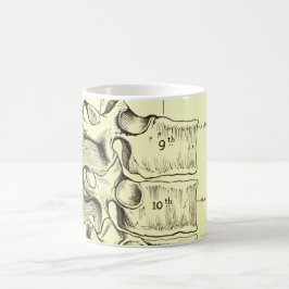  anatomie | wervels koffiemok