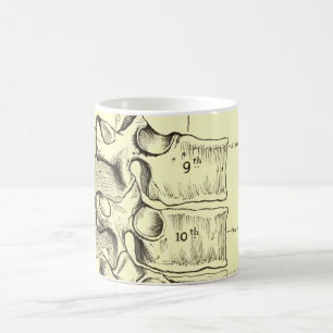  anatomie   wervels koffiemok