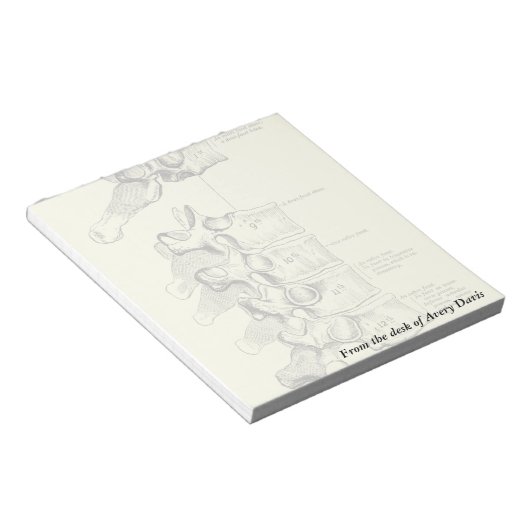  anatomie | wervels notitieblok (Schuin)