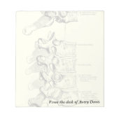  anatomie | wervels notitieblok (Voorkant)