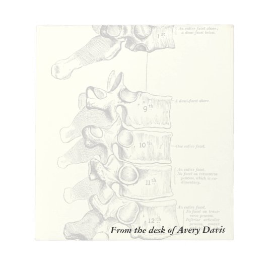  anatomie | wervels notitieblok (Voorkant)