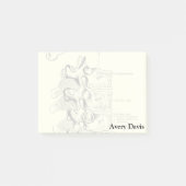  anatomie | wervels post-it® notes (Voorkant)