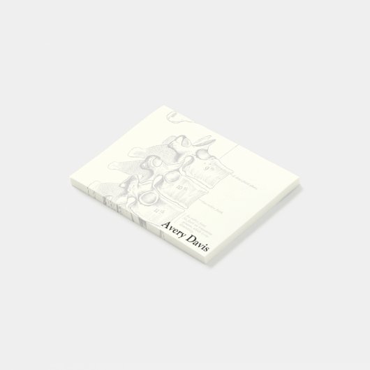  anatomie | wervels post-it® notes (Schuin)