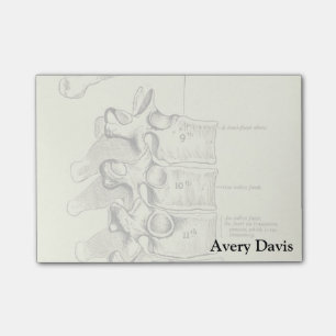 anatomie wervels post-it® notes
