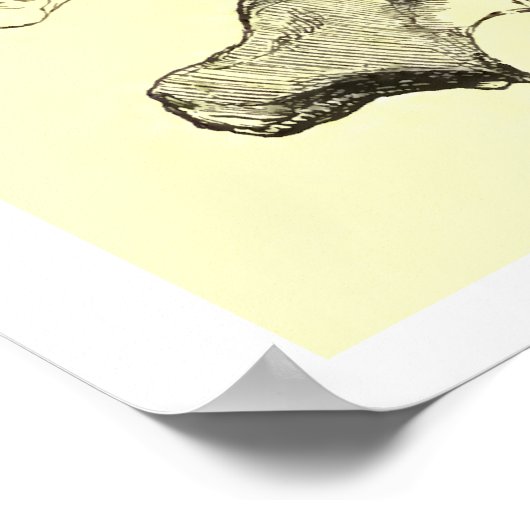  anatomie | wervels poster (Hoek)