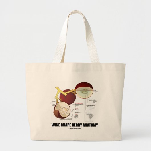 Anatomie wijndruiven (wetenschappelijk diagram) grote tote bag (Voorkant)
