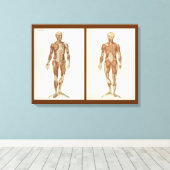 anatomieboekpagina's canvas afdruk (Insitu (Houten vloer))