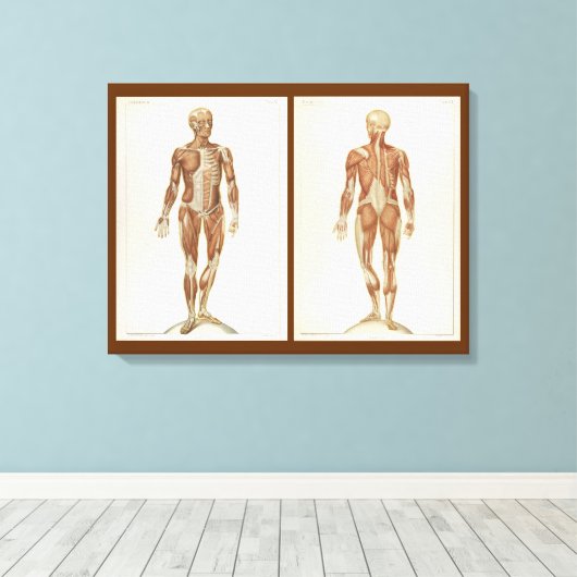  anatomieboekpagina's canvas afdruk (Insitu (Houten vloer))