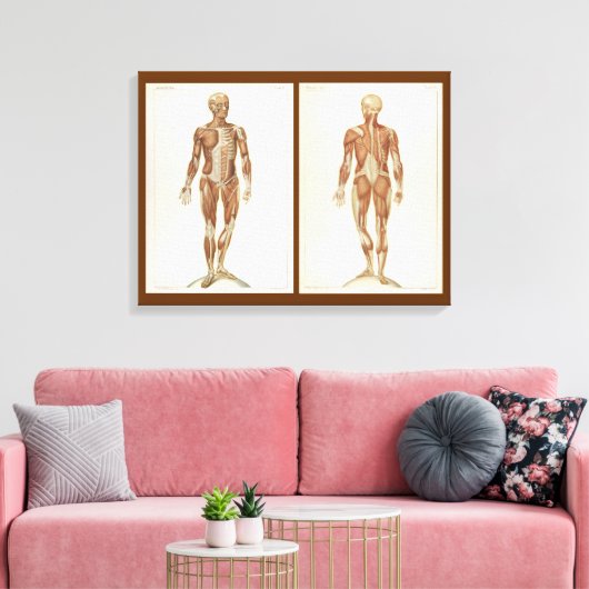  anatomieboekpagina's canvas afdruk (Insitu (Woonkamer))