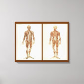  anatomieboekpagina's canvas afdruk (Voorkant)