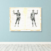 anatomieboekpagina's canvas afdruk (Insitu (Houten vloer))