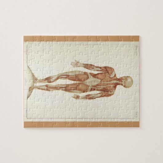  anatomieboekpagina's legpuzzel (Horizontaal)